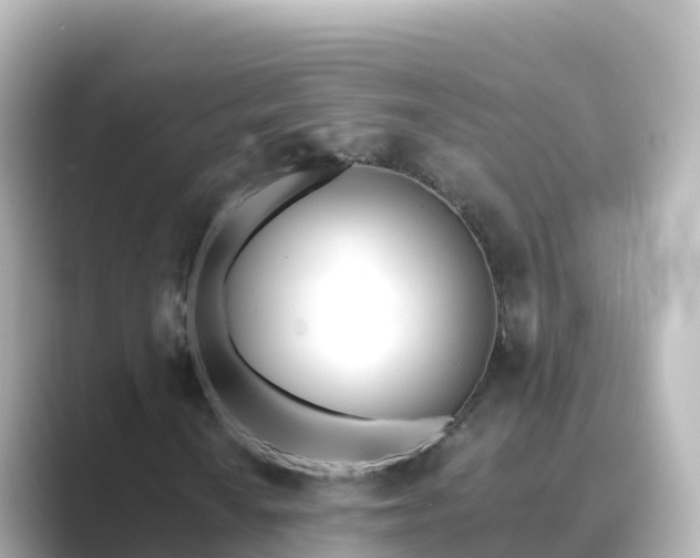 X0000089421010200706221149