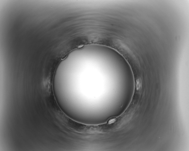 X0000089421011200706221149