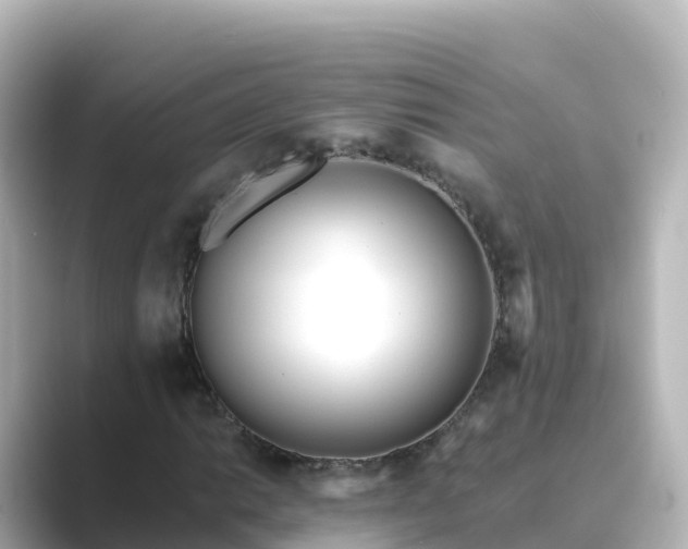 X0000089421014200706221149