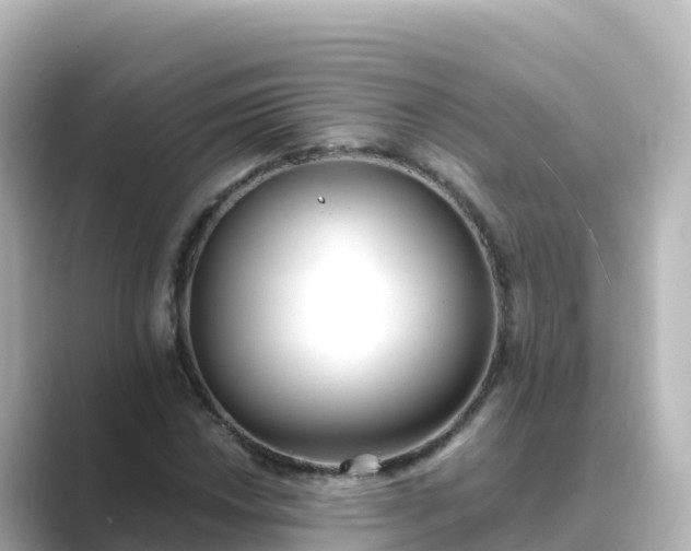 X0000089421018200706221149