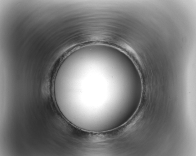X0000089421019200706221149