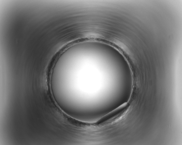 X0000089421022200706221149