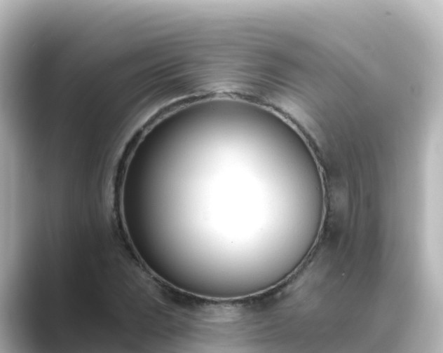 X0000089421023200706221149