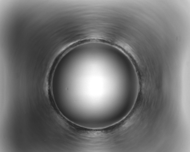 X0000089421024200706221149