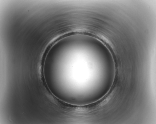 X0000089421029200706221149