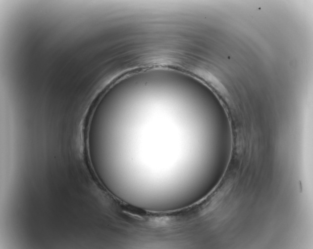 X0000089421031200706221149
