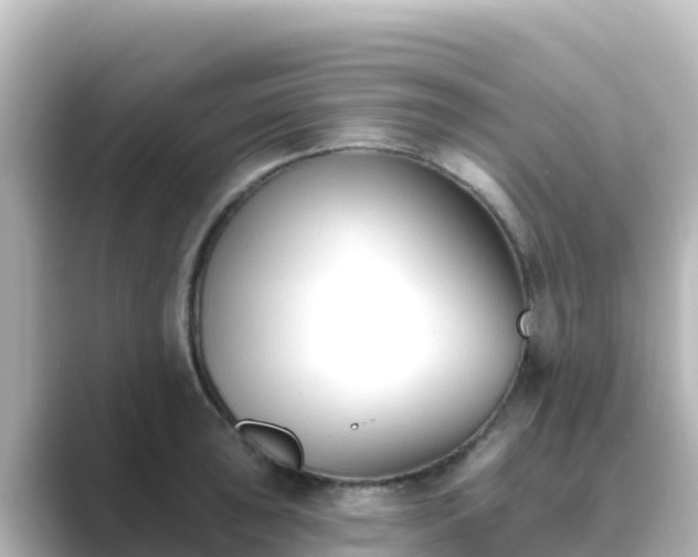 X0000089421043200706221149