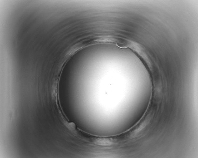 X0000089421049200706221150