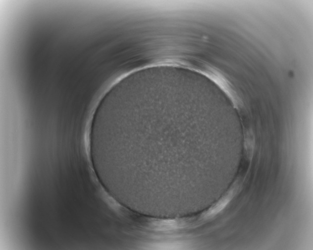 X0000089421054200706221150