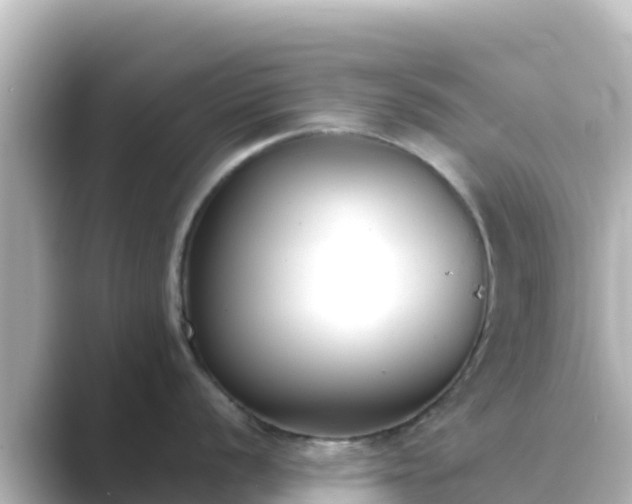 X0000089421056200706221150