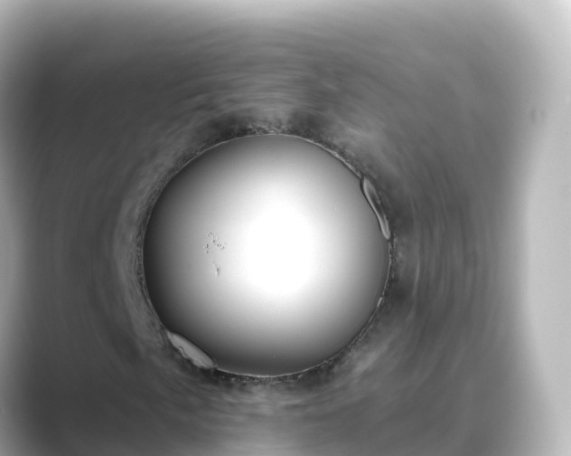 X0000089421057200706221149