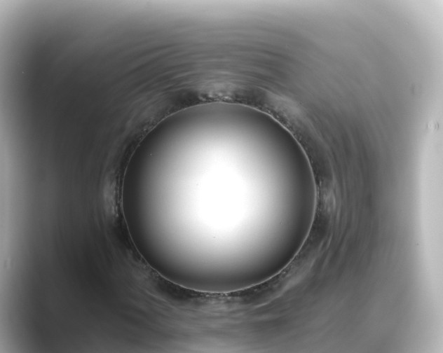 X0000089421060200706221149
