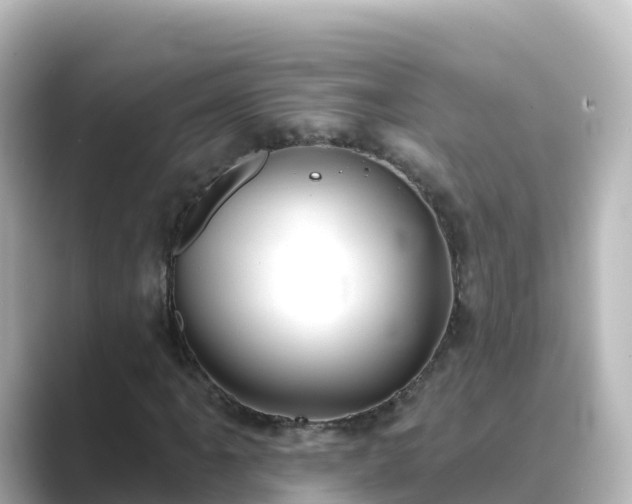 X0000089421061200706221149