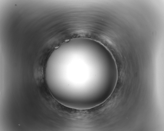 X0000089421062200706221149