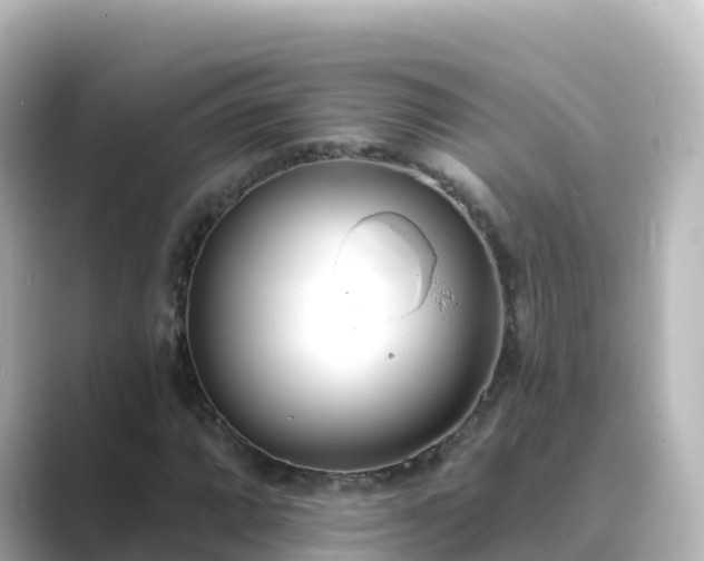 X0000089421064200706221149
