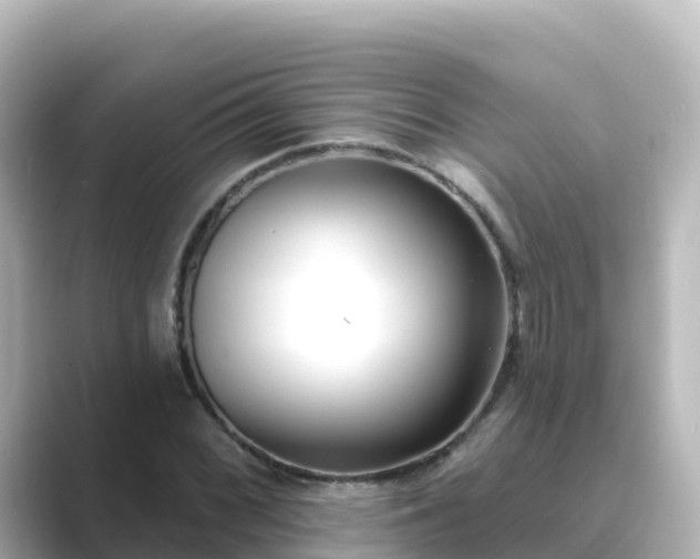 X0000089421068200706221149