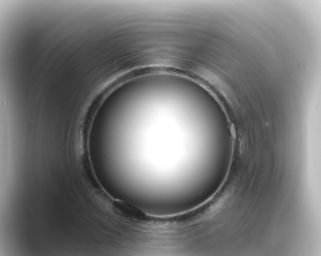 X0000089421069200706221149