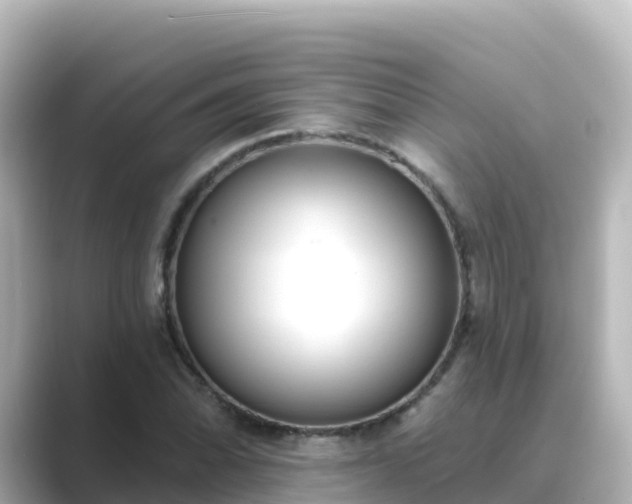 X0000089421070200706221149