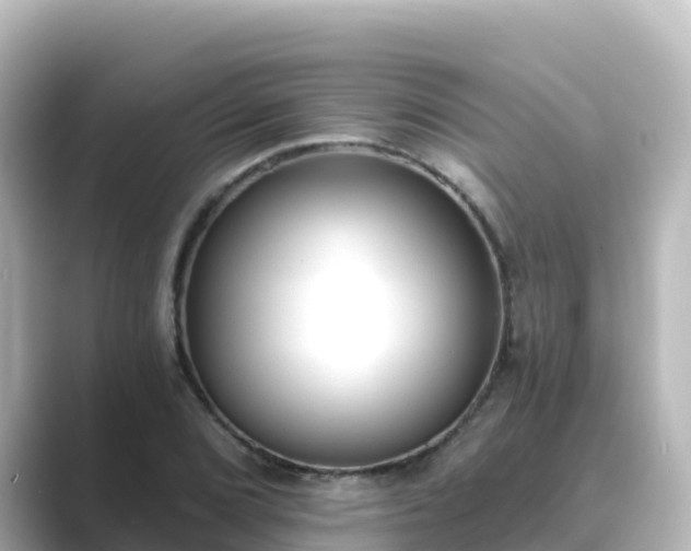 X0000089421072200706221149