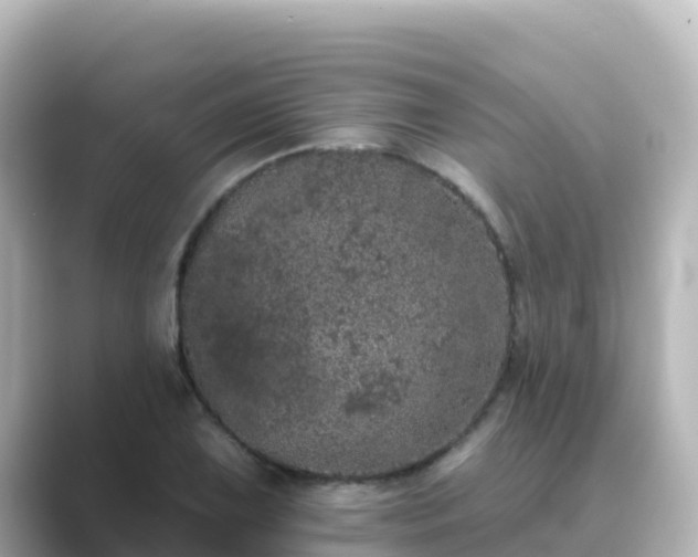 X0000089421075200706221149