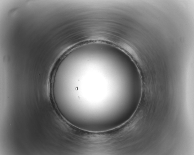 X0000089421076200706221149