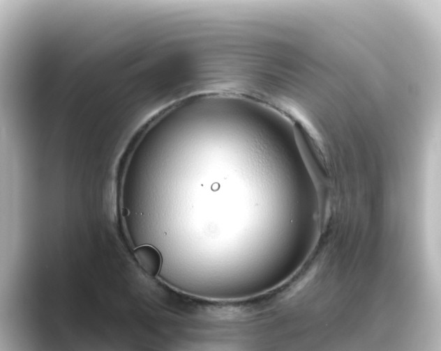 X0000089421079200706221149