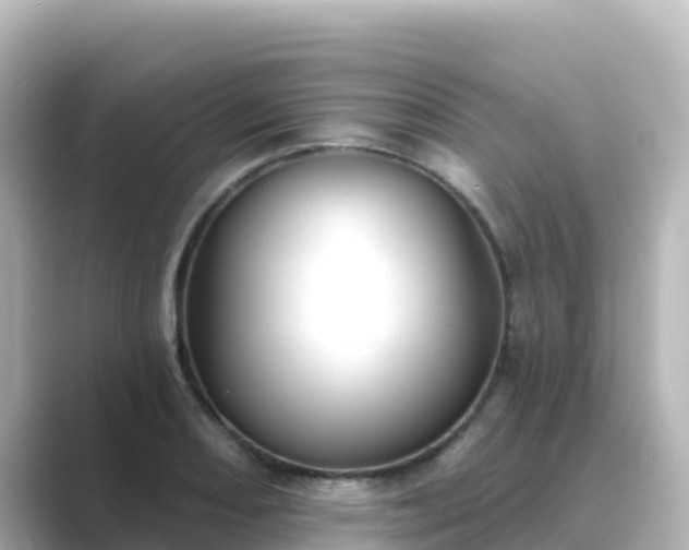X0000089421082200706221149