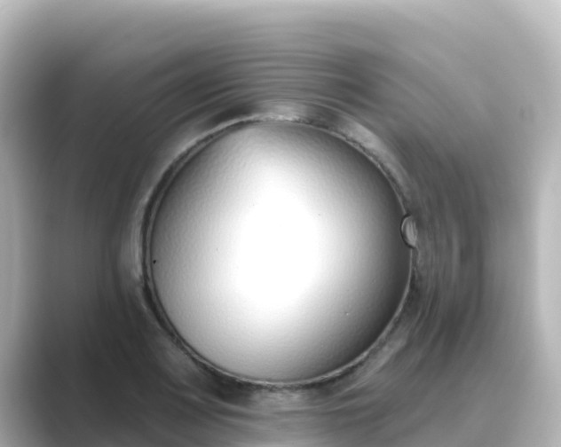 X0000089421083200706221149