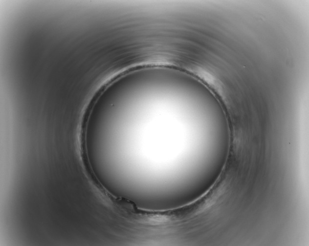 X0000089421085200706221149