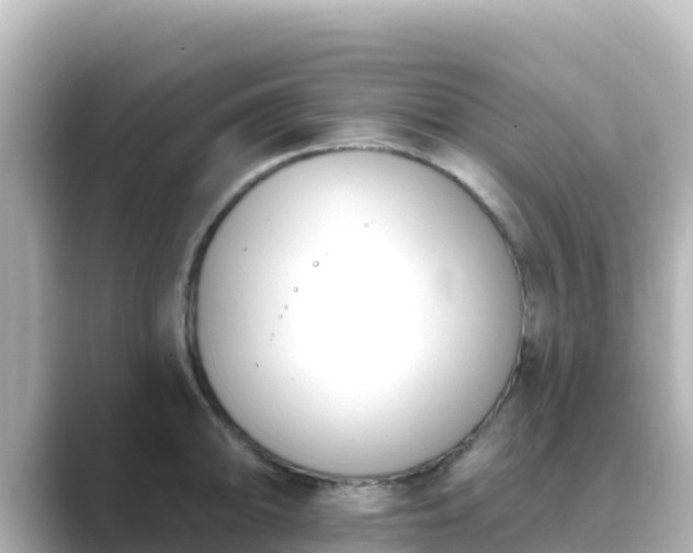 X0000089421094200706221149