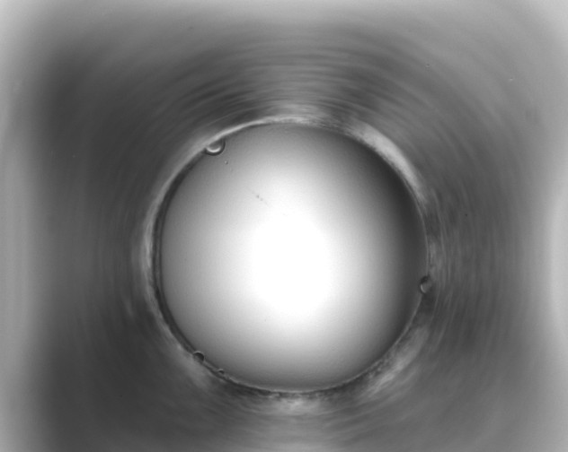 X0000089421099200706221149