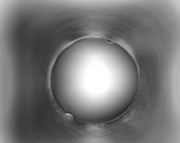 X0000089421104200706221149