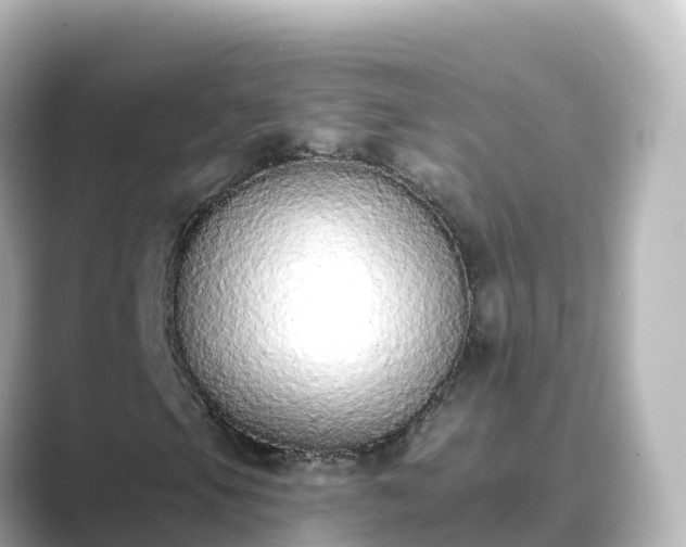 X0000089421105200706221148