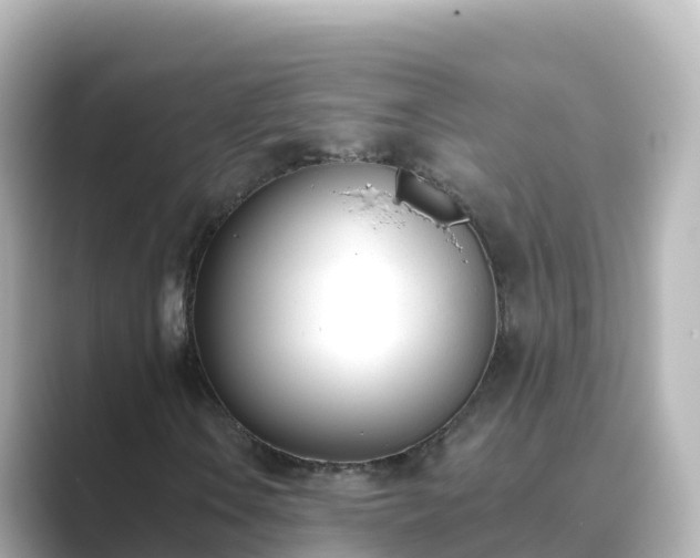 X0000089421106200706221148