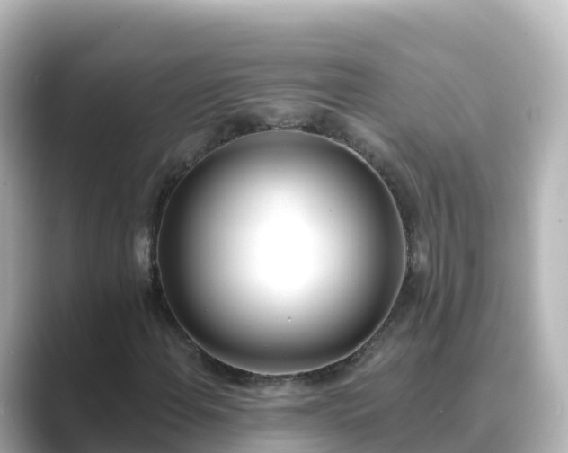 X0000089421108200706221148