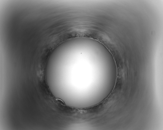 X0000089421109200706221148