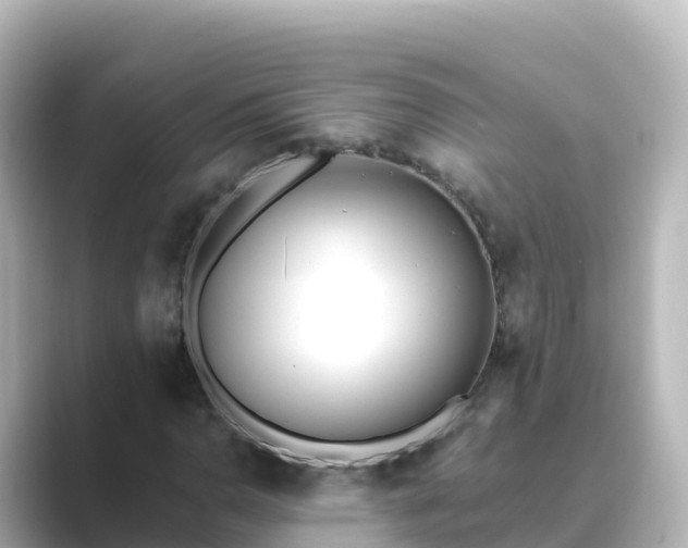 X0000089421110200706221148