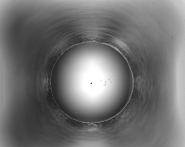 X0000089421111200706221148