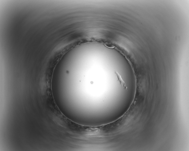 X0000089421112200706221148