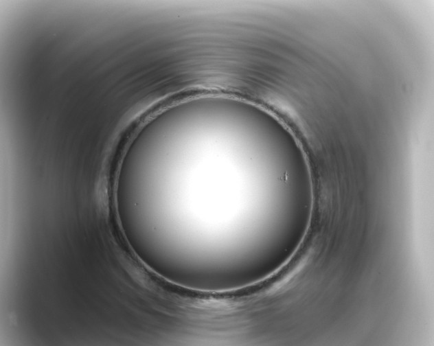 X0000089421114200706221148