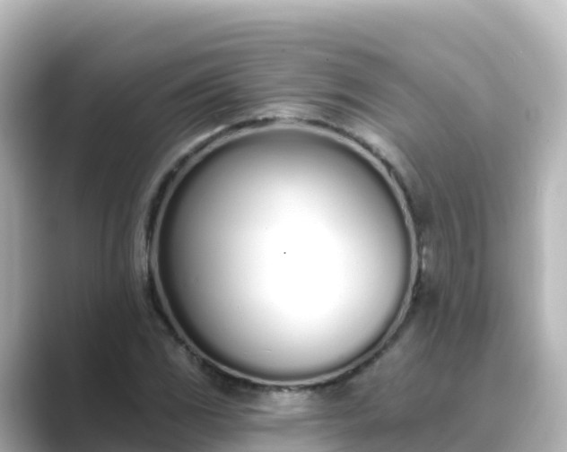 X0000089421117200706221148