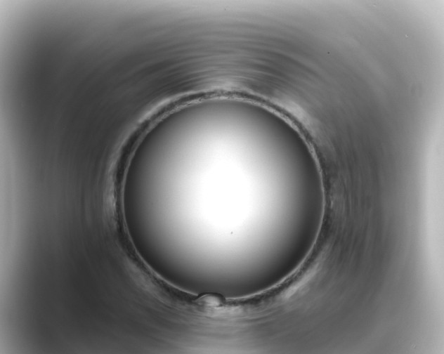 X0000089421118200706221148