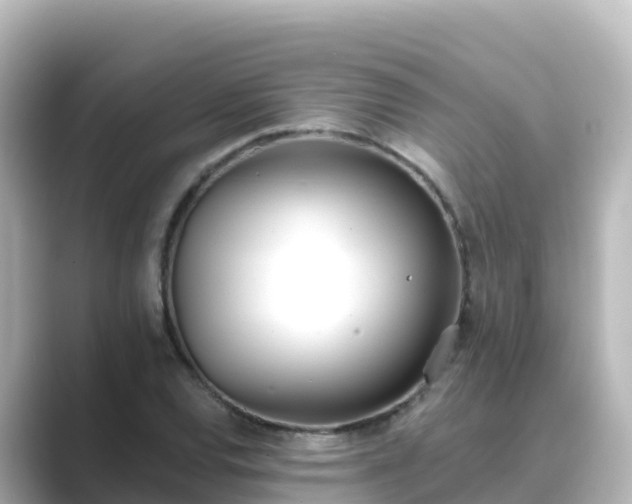 X0000089421120200706221148
