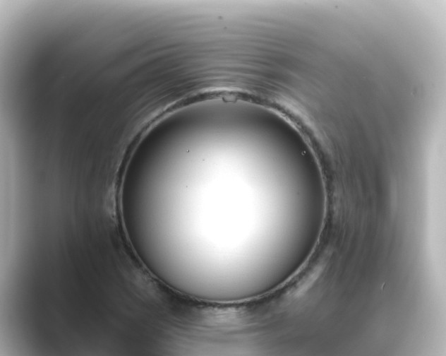 X0000089421121200706221148