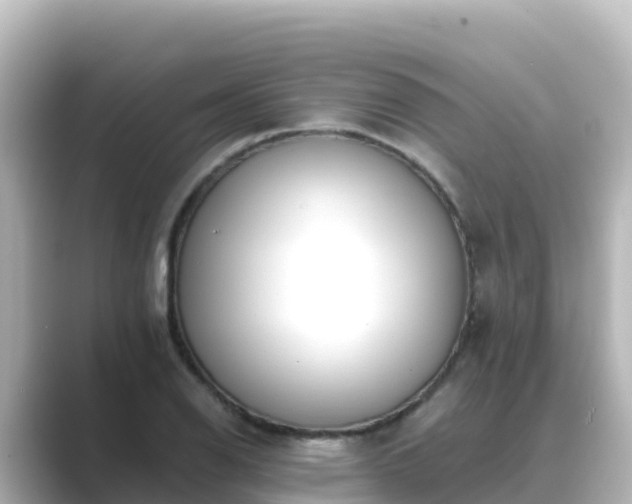 X0000089421126200706221148