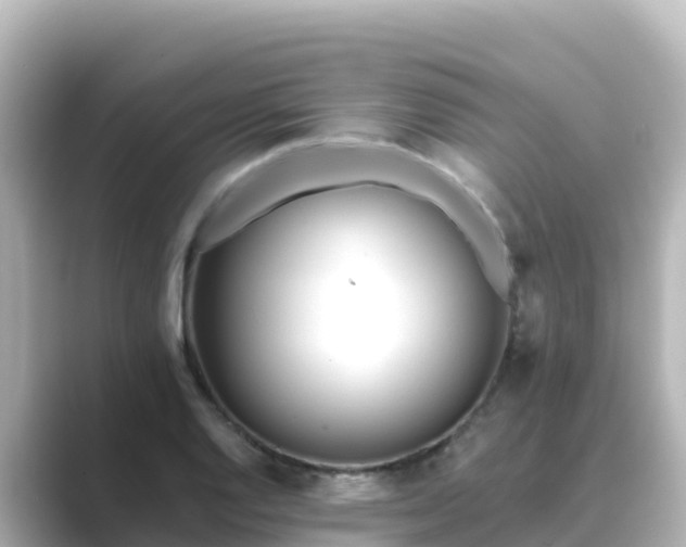 X0000089421128200706221148