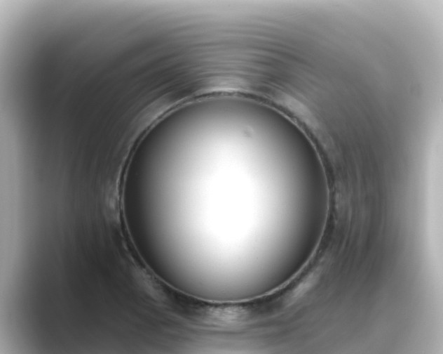 X0000089421129200706221148