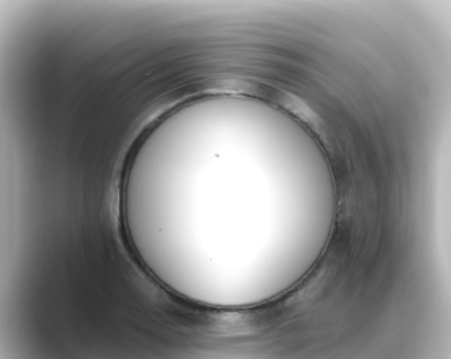 X0000089421130200706221148