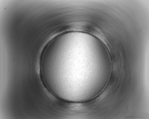 X0000089421131200706221148