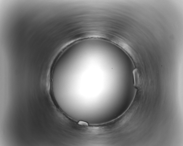 X0000089421132200706221148